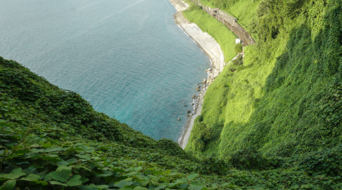 Discovering the beauty of Batumi Botanical Garden